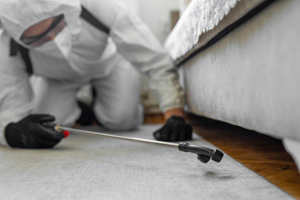 Professional Bed Bug Control technician working in Goodman, MO